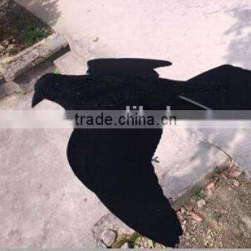 EVA Black flocking crow(also can without flocking)
