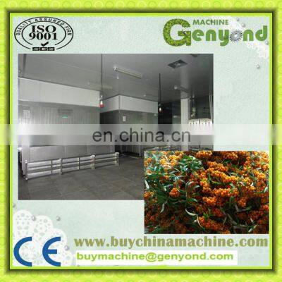 Sea Buckthorn Branch Freezing Machine for the Sea Buckthorn Fruit Processing photo-3