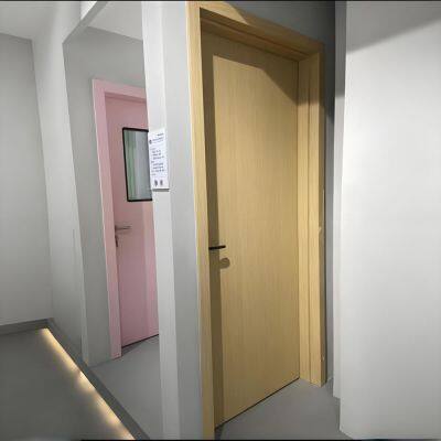 GMP Standard Cleanroom Swing Single Door Stainless Steel Hospital Doors Hermetic Medical Door photo-2