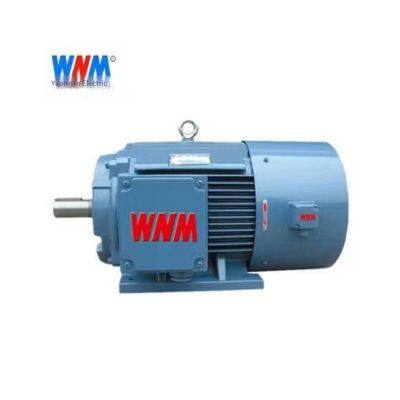 Ye5 Series National Standard Grade 1 Wannan Electric Motor Ye5-3551 2-8/220kw/250kw/660v/b3/ip65/b3/b35/b5, Customizable Upon Special Request photo-2