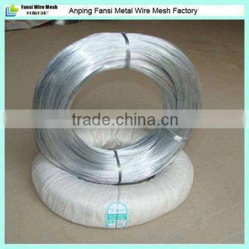 BWG8 fine electro galvanized wires(manufacturer)