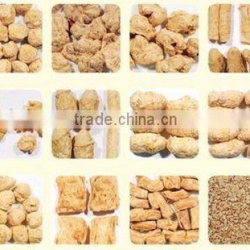 Soya Chunks Meat Making Machine Plant photo-4