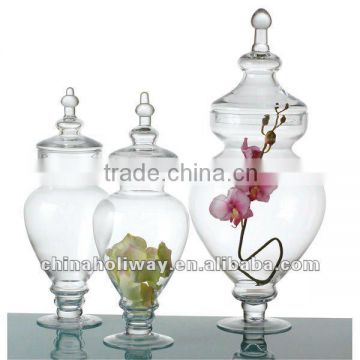 Set of 2 Clear Apothecary Glass Jar with Lid