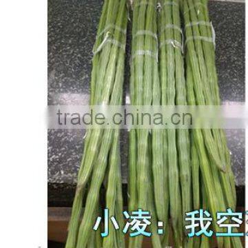 Best Quality Fresh Drumstick Vegetable from India