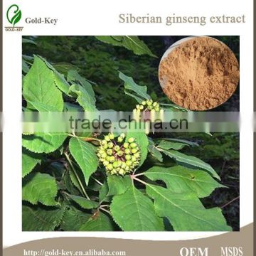 High Quality Siberian Ginseng Extract, Siberian Ginseng Extract Powder, 100% Eleuthero Extract