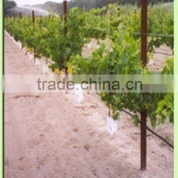 Galvanized steel Grape Pile