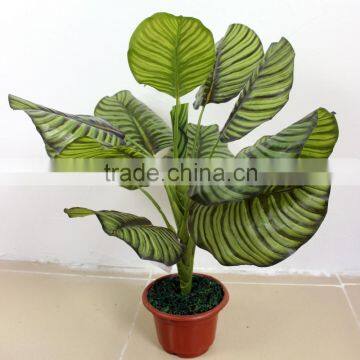artificial Houseplant Dracaena fragrans bonsai fake