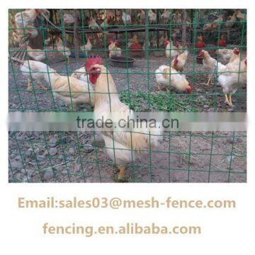 Manufacture direct sell Galvanized and PVC Euro Fence Cages