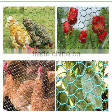 Chicken Application chicken coop galvanized wire mesh