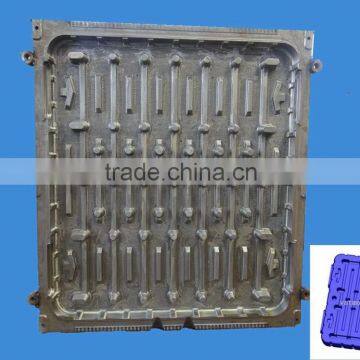 Full automatic blow moulding for pallet