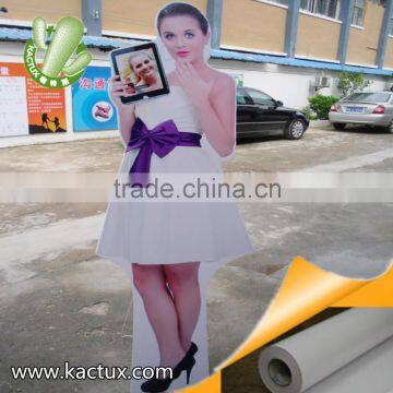 PP Synthetic Paper, Inkjet pp paper, Roll up Matt PP Paper