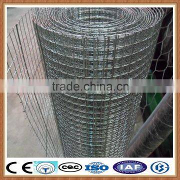 new product Galvanized welded wire mesh/ welded wire mesh fence for sale