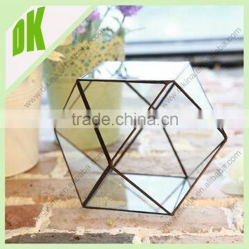 Custom sizes&designs&shapes Glass Geometric Open air succulents