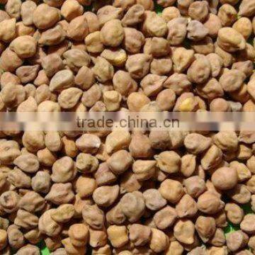 DESI CHICKPEAS