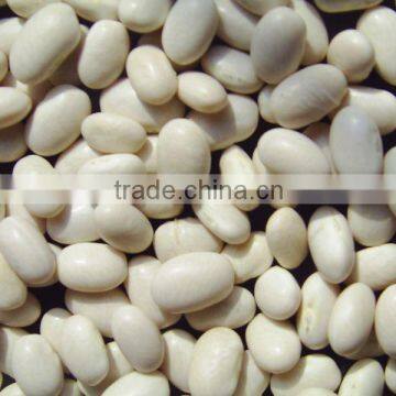 2013 crop White kidney bean japanese type