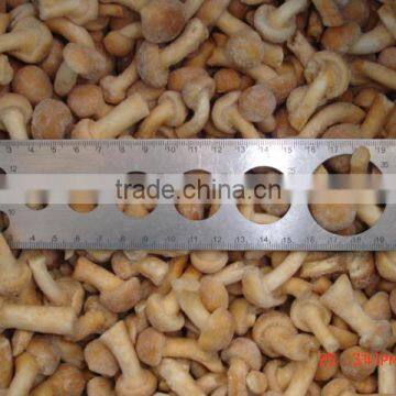 BRC,KOSHER,HALAL IQF nameko