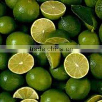 SEEDLESS LIME - FRESH VEGETABLE - HIGH QUALITY
