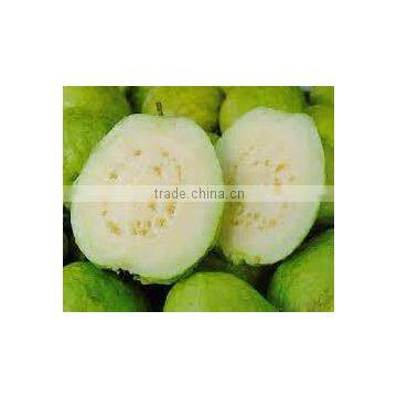 Premium White Guava Pulp