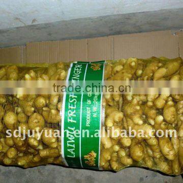 2013 New Crop Fresh Ginger