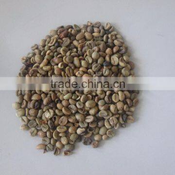 VIETNAM GREEN ROBUSTA COFFEE HIGH GRADE- EMAIL:EMILYTRAN@VISIMEX.COM