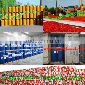 raw material for canned tomato paste making