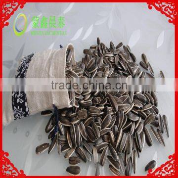 Common Cultivation Type and Sunflower edible Type sunflower for human consumption