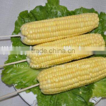 Birchwood Bbq Skewers Sticks China Supplier