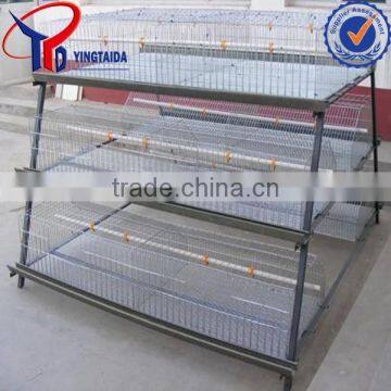 Metal Wire Mesh Broiler Chicken Poultry ( ISO9001 Factory) photo-3
