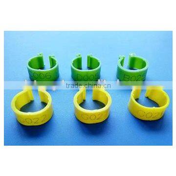 plastic bird ring