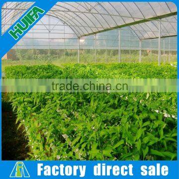 Huifa Professional Commercial Hydroponics Systems for Lettuce/ Spinach Growing photo-6