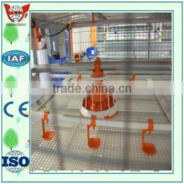 A Line/five Lays/smaill Chicken Cages