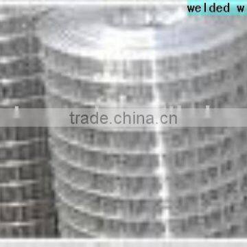 selling galvanized welded wire mesh