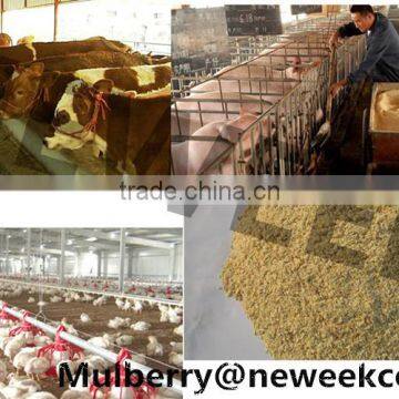 Neweek Small Animal Fodder Corn Flour Mill Cassava Grinding Machine photo-5