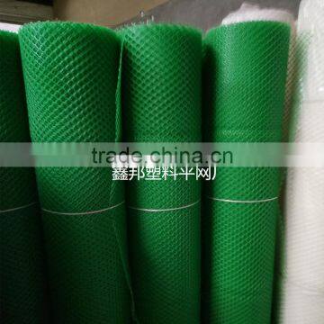 PE plastic mesh/Chicken mesh