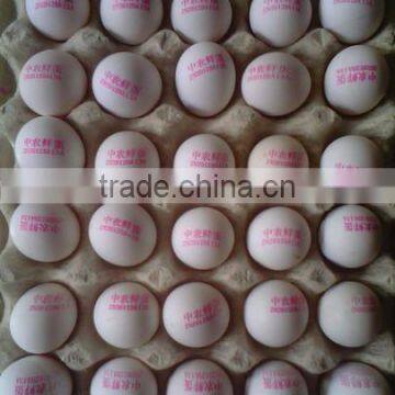 30 Holes Digital Print Machine/egg Printer/Inkjet Printer photo-2