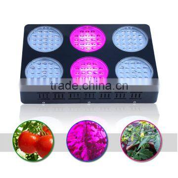 Greenhouse Led Panel Grow Light Switchable Indoor Growing Light With Best Price photo-4