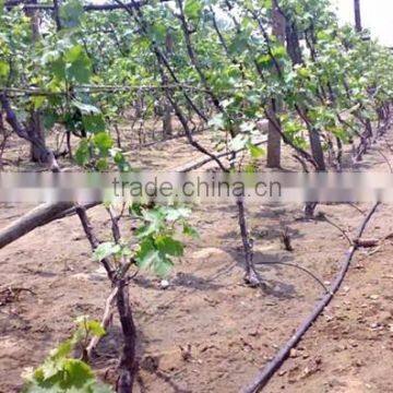 High Quality PE Material Drip Irrigation Pipe / Tape photo-6