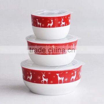 Set of 3pcs ceramic bowl with plastic lid