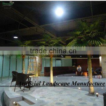 Outdoor Tropical Decorative Palm Trees/hugh Indoor Decorative Palm Tree photo-5