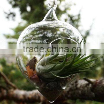 New Design With High Quality Wholesale Glass Globle Hanging Terrarium photo-2