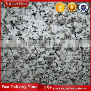 Polished Bianco Sardo G439 Big Flower White Granite