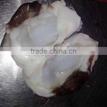 Food Seasoning ,Frozen Giant Squid Neck photo-2