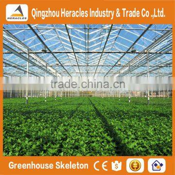 Heracles Trade Assurance Greenhouse Equipment- Venlo Type Glass Panels Greenhouse for Sale photo-4