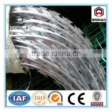 WEIHAO hot selling galvanized concertina razor barbed wire