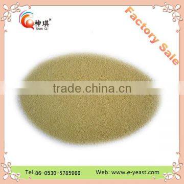 Provide High Sugar Instant Dry Yeast With Cheap Price photo-3