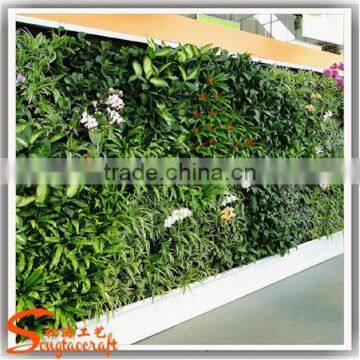 Latest Design Garden Vertical Green Wall Factory Price Grass Wall Decor Decoration Beautiful Fake Grass for Crafts photo-3