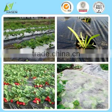 Biodegradable Polypropylene Agricultural Film