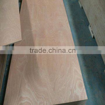 sapelli face plywood