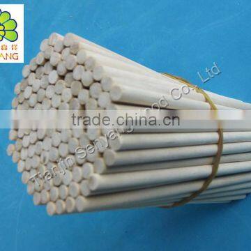Flexible Wooden Toys for Kids Round Stick Arts and Crafts