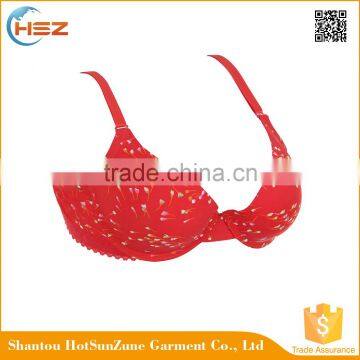 HSZ-58062 Wholesale Fashional Girls Underwear Bra New Design Extreme Lovely Underwear Bra Manufacturer In China photo-5